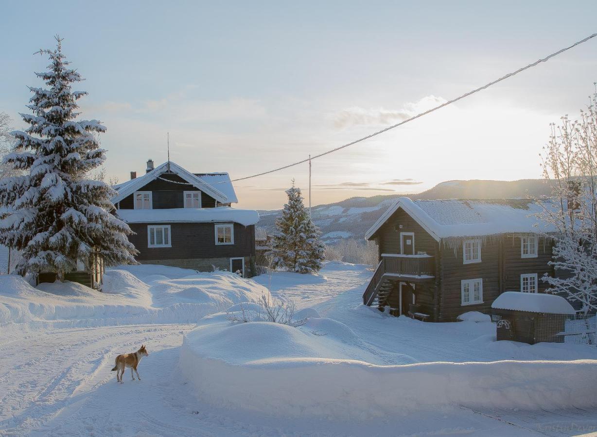 Eikre Fjellgard Hotel Hemsedal Exterior photo